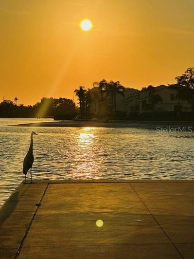 Image No.54-2 Bed Property for sale