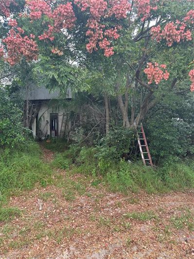 Image No.13-Propriété de 3 chambres à vendre à Haines City