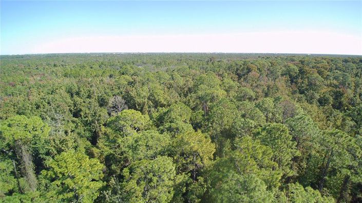 Image No.66-Propriété de 6 chambres à vendre à Kissimmee