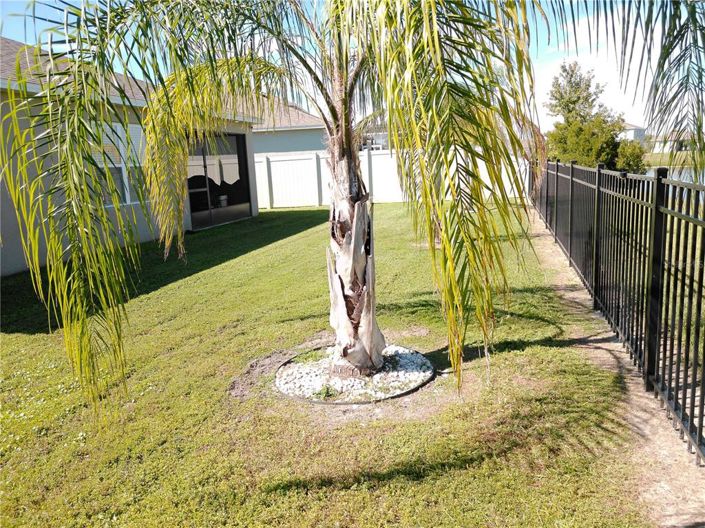 Image No.25-Propriété de 3 chambres à vendre à Davenport