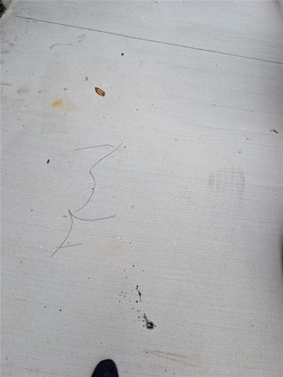 Image No.37-Propriété de 3 chambres à vendre à Davenport