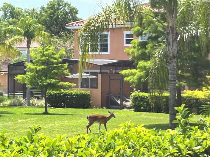 Image No.21-2 Bed Townhouse for sale