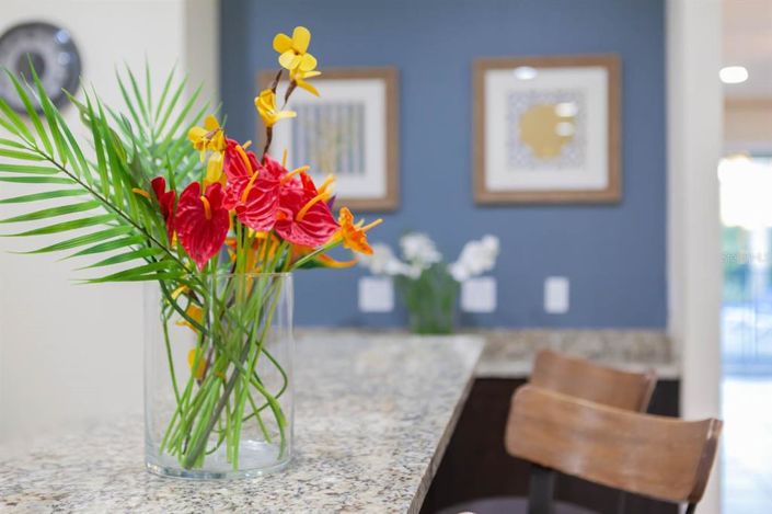 Image No.58-Propriété de 8 chambres à vendre à Kissimmee