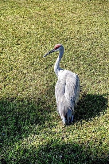 Image No.14-3 Bed Property for sale