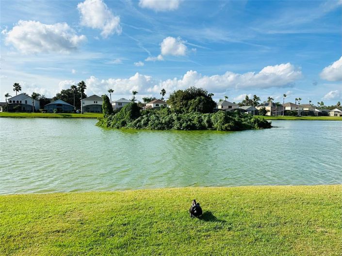 Image No.47-Propriété de 5 chambres à vendre à Kissimmee