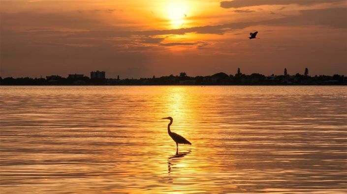 Image No.59-3 Bed Property for sale