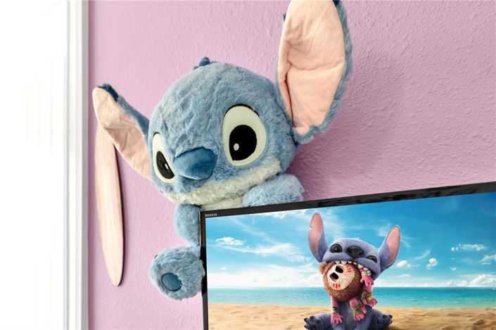 Image No.40-11 Bed Property for sale