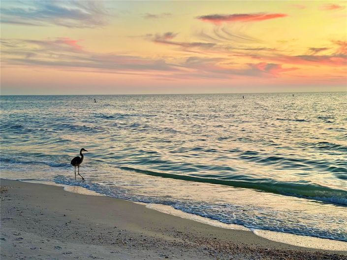 Image No.3-4 Bed Townhouse for sale