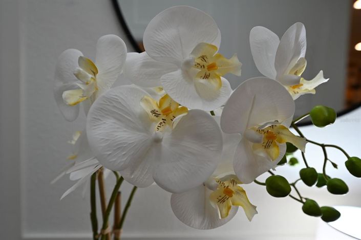 Image No.22-8 Bed Property for sale