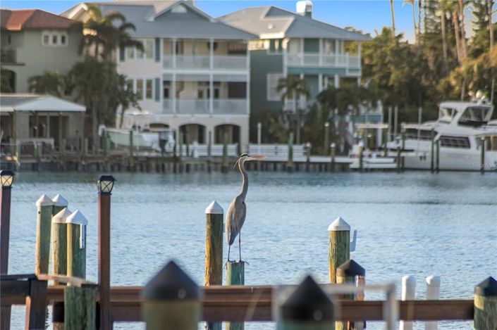 Image No.38-Propriété de 3 chambres à vendre à St. Pete Beach