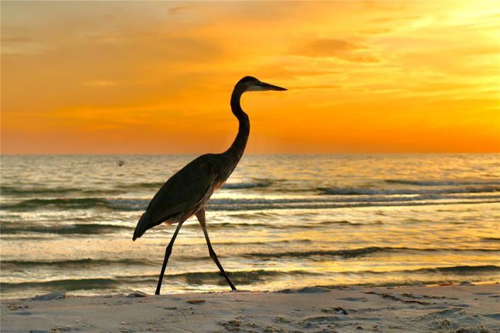 Image No.51-4 Bed Property for sale