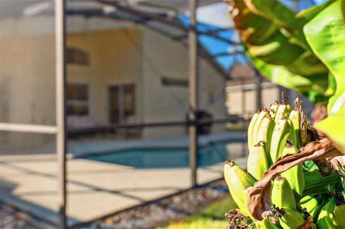 Image No.22-Propriété de 4 chambres à vendre à Kissimmee