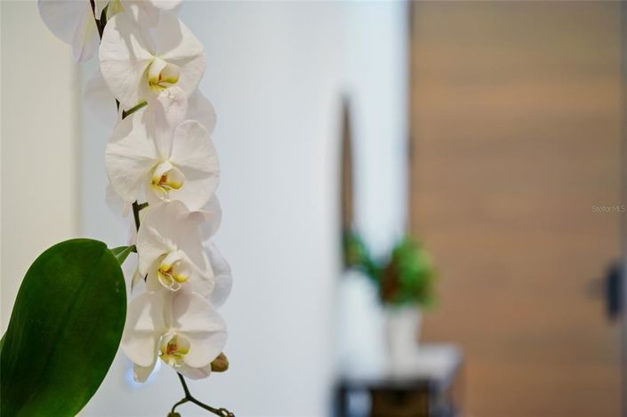 Image No.59-Propriété de 4 chambres à vendre à Sarasota