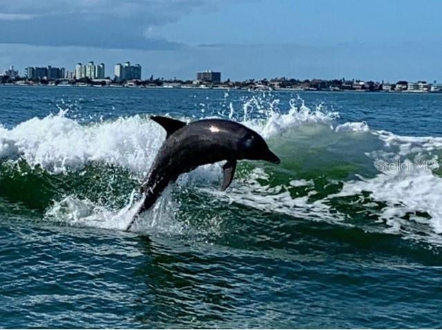 Image No.56-2 Bed Property for sale