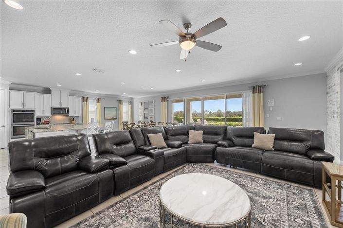 Image No.16-12 Bed Property for sale