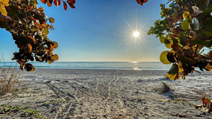 Image No.29-3 Bed Property for sale