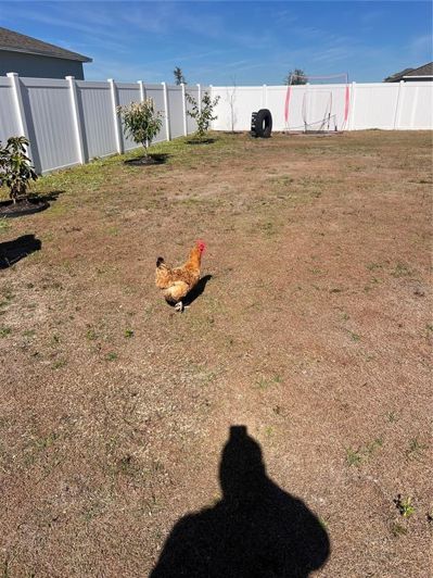 Image No.56-Propriété de 4 chambres à vendre à Kissimmee