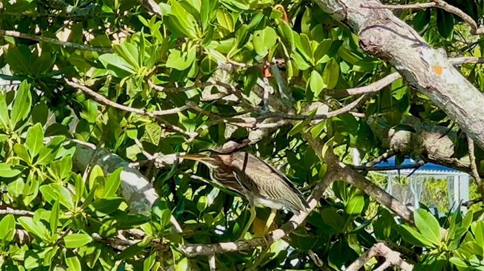 Image No.45-3 Bed Property for sale