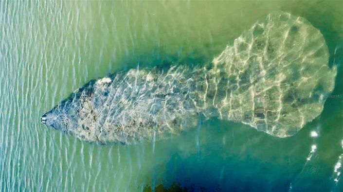 Image No.60-3 Bed Property for sale