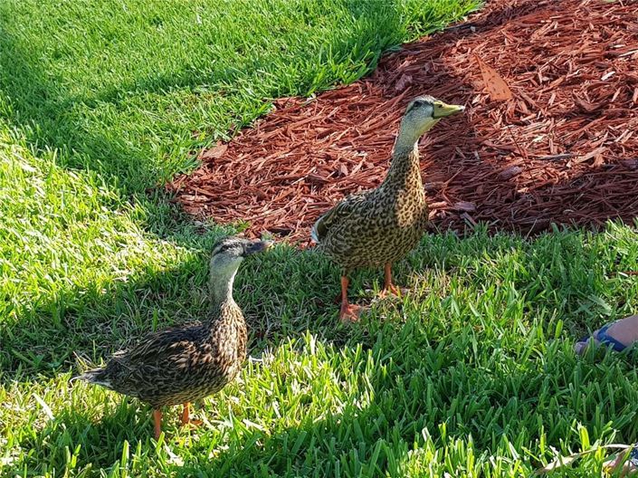 Image No.39-5 Bed Property for sale