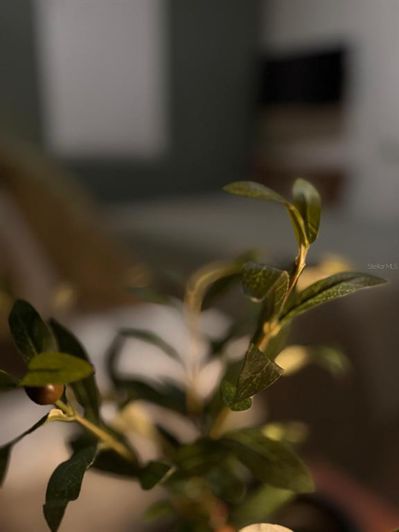 Image No.5-3 Bed Townhouse for sale