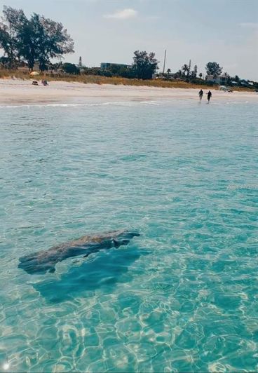 Image No.48-Propriété de 3 chambres à vendre à Anna Maria