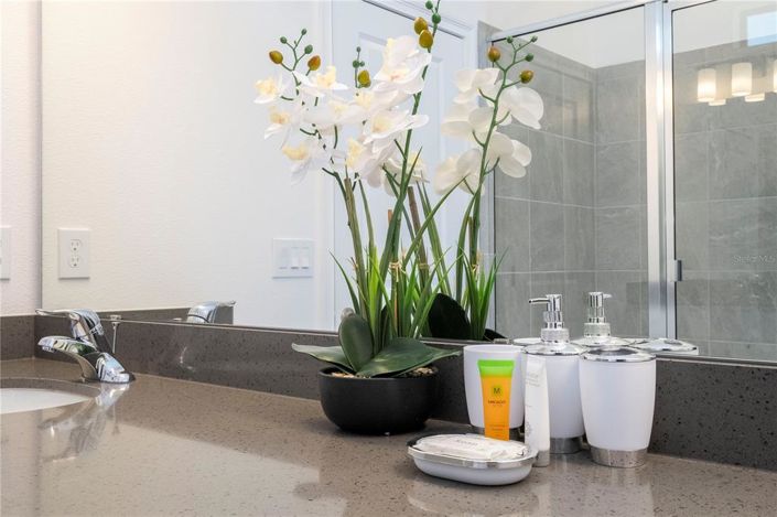 Image No.32-Propriété de 9 chambres à vendre à Orlando