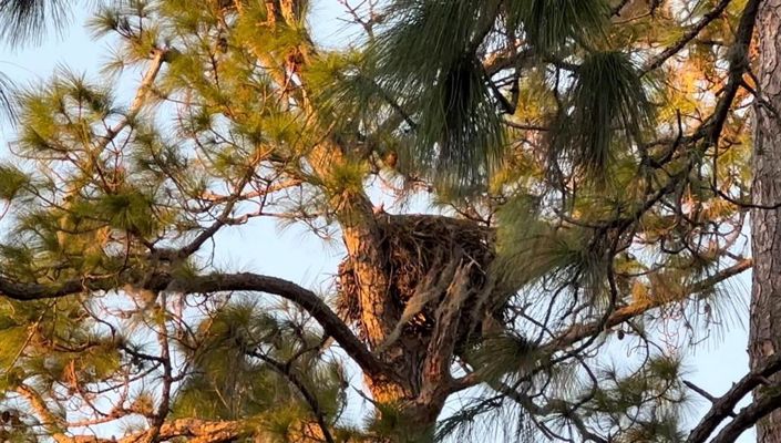 Image No.48-4 Bed Property for sale