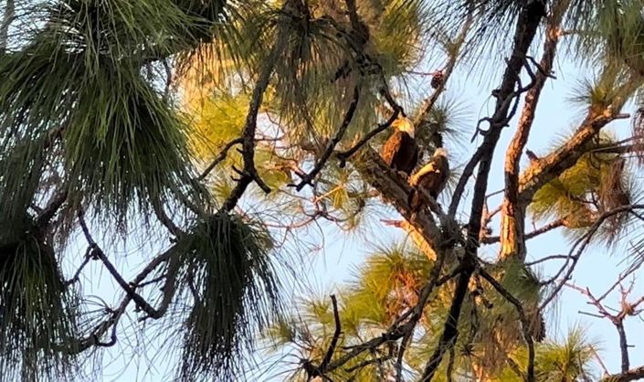 Image No.49-4 Bed Property for sale