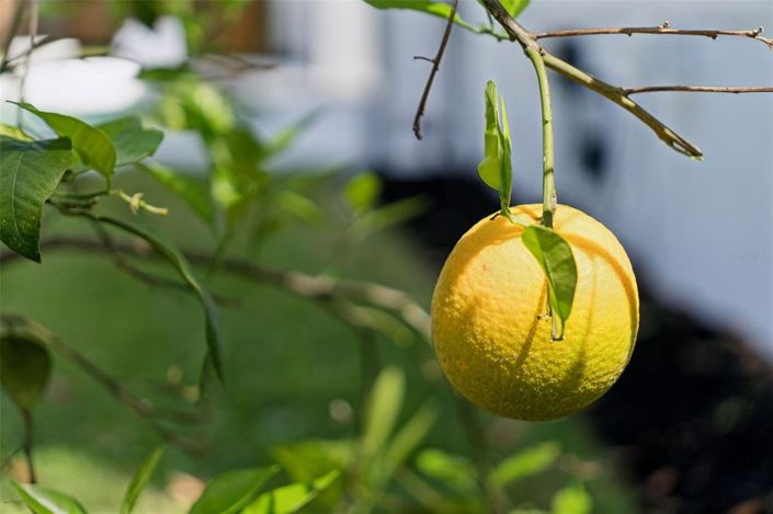 Image No.44-4 Bed Property for sale