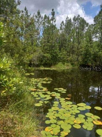 Image No.47-Propriété de 4 chambres à vendre à Kissimmee
