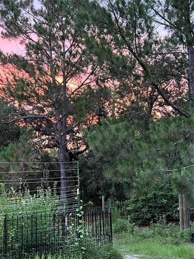 Image No.50-Propriété de 4 chambres à vendre à Kissimmee