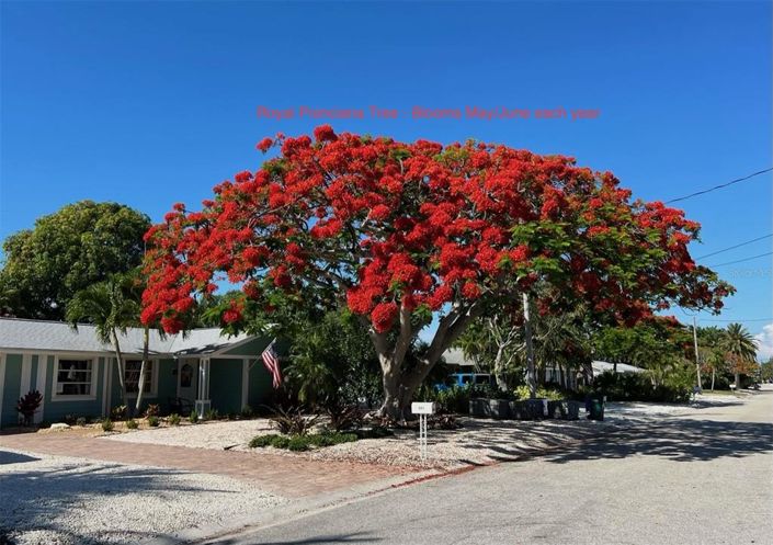 Image No.53-3 Bed Property for sale