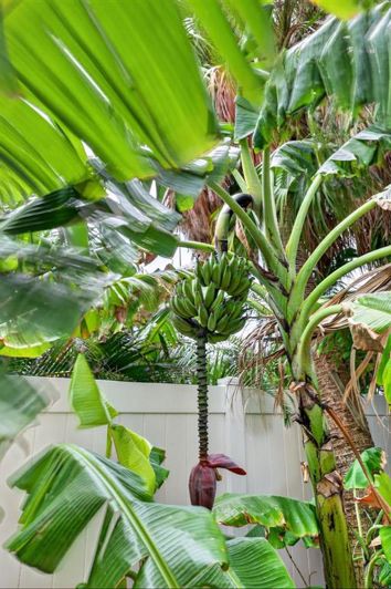 Image No.58-4 Bed Property for sale