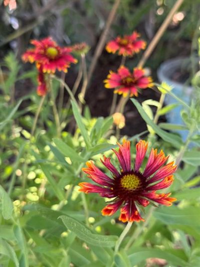 Image No.34-1 Bed Property for sale