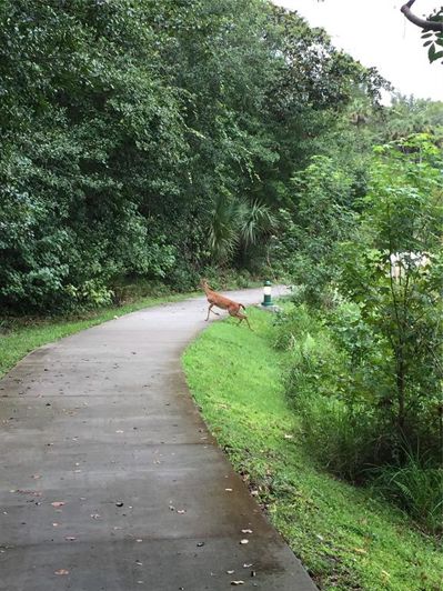 Image No.52-3 Bed Property for sale