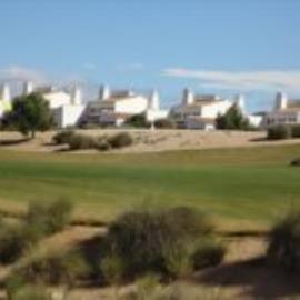 DSC03777-Copy-150x150