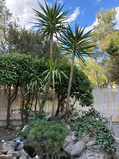 Image No.4-6 Bed House for sale