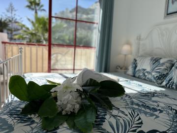 Photo-07-11-2023--14-18-42