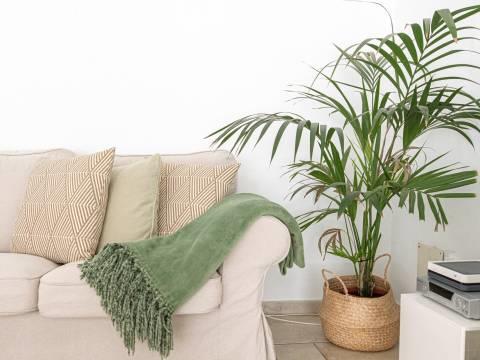 Image No.21-5 Bed Villa for sale