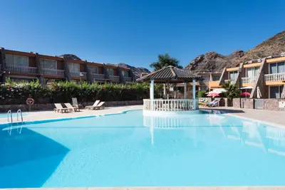 e088f67e-8853-458a-a52c-afa7dad02420