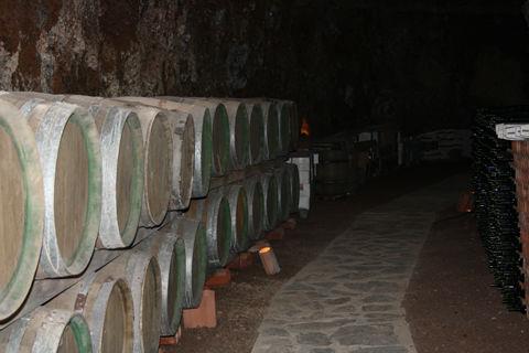 Image No.2-8 Bed Vineyard for sale