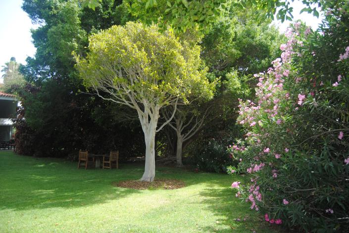 Image No.6-8 Bed Vineyard for sale