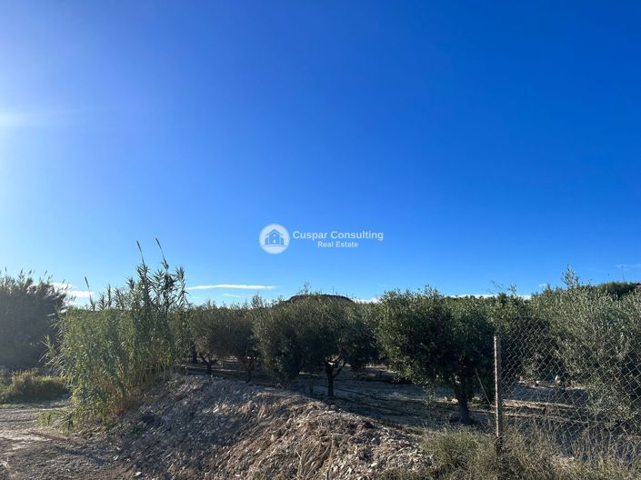Image No.1-Plot for sale
