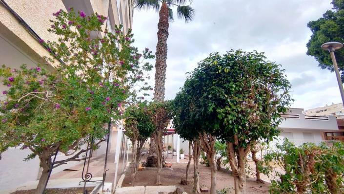 Image No.14-Appartement de 1 chambre à vendre à Águilas