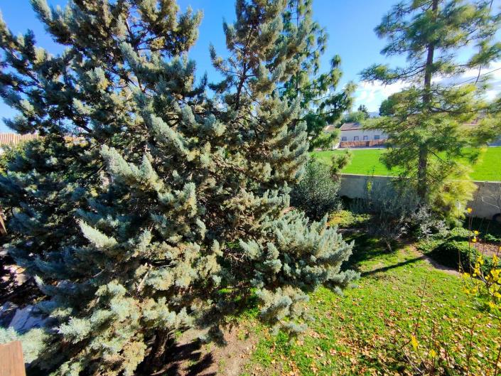 Image No.22-Maison de 4 chambres à vendre à Lorca