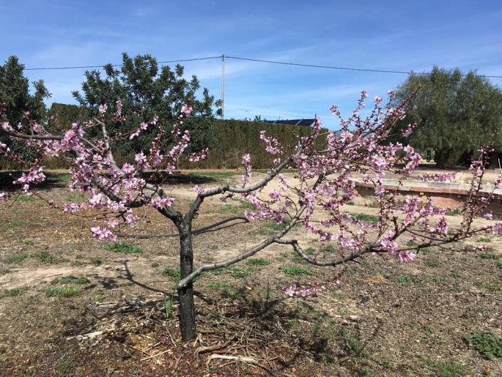 Image No.39-Maison de 4 chambres à vendre à Lorca