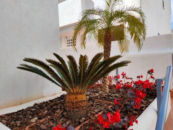 Image No.22-Appartement de 2 chambres à vendre à San Juan De Los Terreros