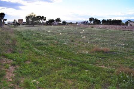 Image No.5-Plot for sale