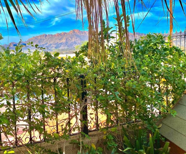 Image No.19-Maison de 3 chambres à vendre à San Juan De Los Terreros